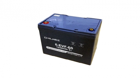 CWPower™ 12V60Ah VRLA GEL Battery